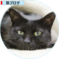 オリジナルこたつ(答え合わせアリ)_a0389088_18203111.jpg