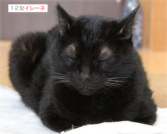 そこだけ出てる!_a0389088_18203269.jpg