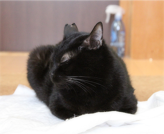そこだけ出てる!_a0389088_18203360.jpg