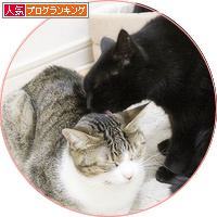 黒いまめ_a0389088_18203413.jpg