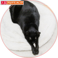 謝罪の上をいく謝罪_a0389088_18203471.jpg