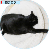 謝罪の上をいく謝罪_a0389088_18203491.jpg