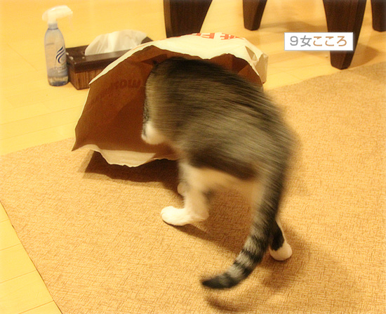 お約束_a0389088_18203528.jpg