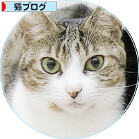 黒いまめ_a0389088_18203574.jpg