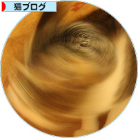 お約束_a0389088_18203580.jpg
