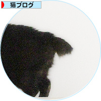 冒険心、炸裂!_a0389088_18203602.jpg