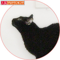 冒険心、炸裂!_a0389088_18203603.jpg