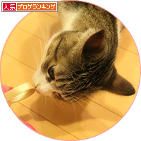 サンタさんが、やってきた!_a0389088_18203709.jpg