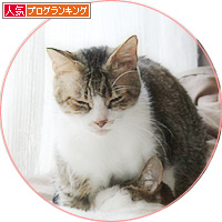 腹まくら_a0389088_18203754.jpg