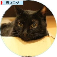 メリクリ・・・は、置いといて_a0389088_18203816.jpg