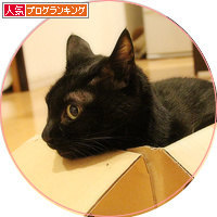 メリクリ・・・は、置いといて_a0389088_18203840.jpg