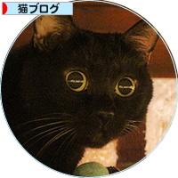 サンタさんが、やってきた!_a0389088_18203869.jpg