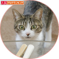 クリスマスのご馳走は・・・_a0389088_18203916.jpg