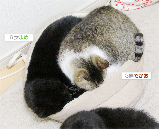 入りたい・・・_a0389088_18203961.jpg