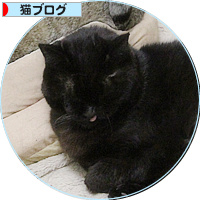 入りたい・・・_a0389088_18204028.jpg