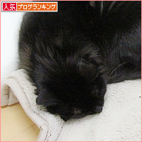 入りたい・・・_a0389088_18204035.jpg