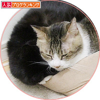 入りたい・・・_a0389088_18204064.jpg