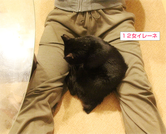 大掃除とサービス_a0389088_18204112.jpg