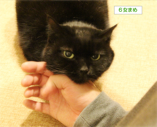 大掃除とサービス_a0389088_18204129.jpg