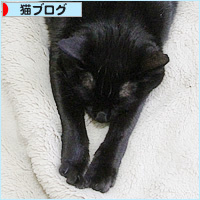 年末の悪夢_a0389088_18204185.jpg