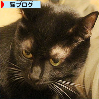 大掃除とサービス_a0389088_18204425.jpg