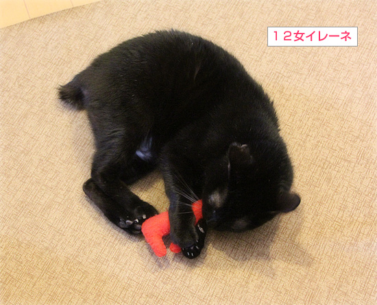 クリスマスの残り香_a0389088_18204495.jpg