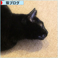 クリスマスの残り香_a0389088_18204542.jpg