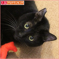 クリスマスの残り香_a0389088_18204591.jpg