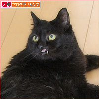 2018年上半期_a0389088_18204604.jpg