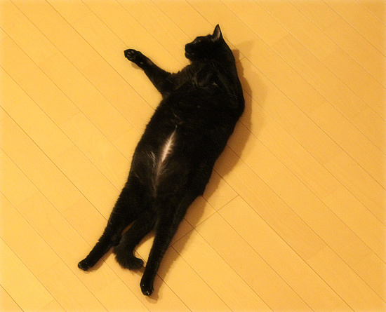 2018年上半期_a0389088_18204653.jpg