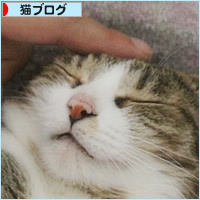 2018年上半期_a0389088_18204698.jpg