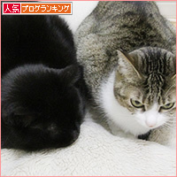 2018年下半期_a0389088_18204763.jpg