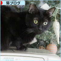 2018年下半期_a0389088_18204797.jpg