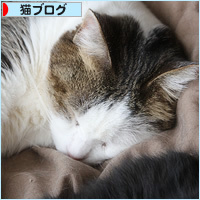 お、重い・・・_a0389088_18205758.jpg