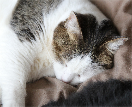 お、重い・・・_a0389088_18205764.jpg