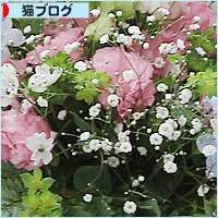 新しい体へ_a0389088_18210466.jpg