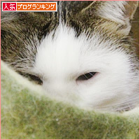 猫ベッド【成功例】【失敗例】_a0389088_18210724.jpg