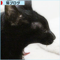 猫ベッド【成功例】【失敗例】_a0389088_18210766.jpg