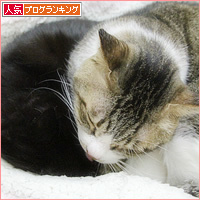 愛され臭_a0389088_18210805.jpg