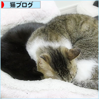 愛され臭_a0389088_18210823.jpg