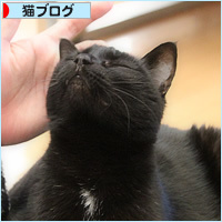 徹夜の代償_a0389088_18212034.jpg
