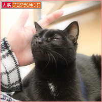 徹夜の代償_a0389088_18212061.jpg