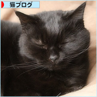 モテ期到来!_a0389088_18212105.jpg