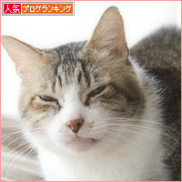 モテ期到来!_a0389088_18212159.jpg