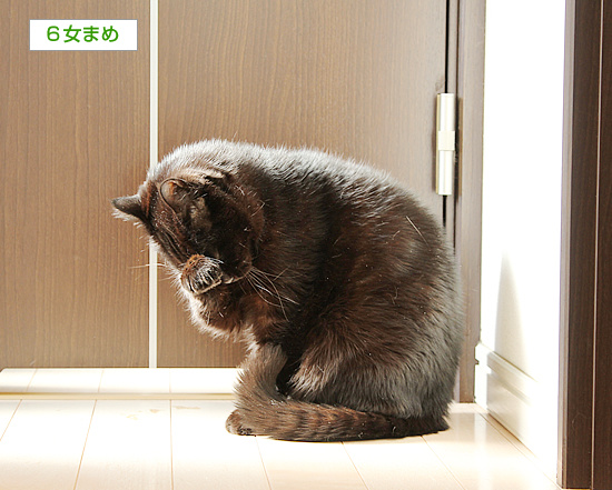 大迫力_a0389088_18213922.jpg