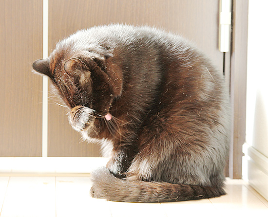大迫力_a0389088_18213955.jpg