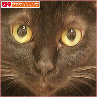 物書きの猫_a0389088_18213983.jpg