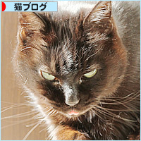 大迫力_a0389088_18214012.jpg