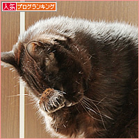 大迫力_a0389088_18214046.jpg