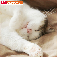 モフモフの罠_a0389088_18214112.jpg